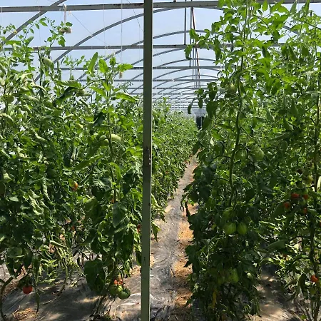 Ferienhaus Heritage Ustikolina *