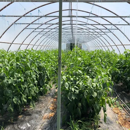 Ferienhaus Heritage Ustikolina *